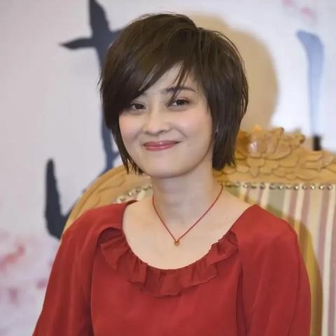 梅婷最新发型，引领时尚潮流新标杆