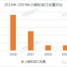 小麦市场最新动态分析与展望
