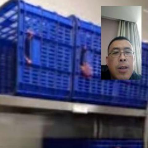 深州最新招工信息概览