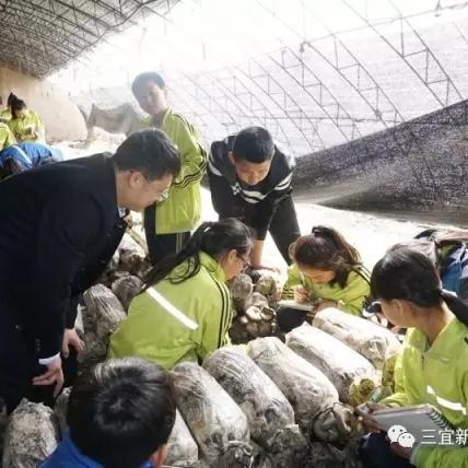 包头东河区最新招聘信息概览
