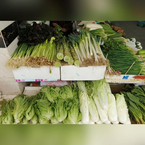 诚心诚意 第2页