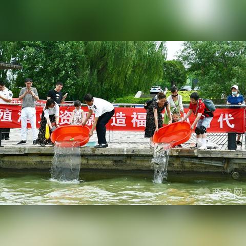 西安生态修复行动，数万尾鱼苗投放水域