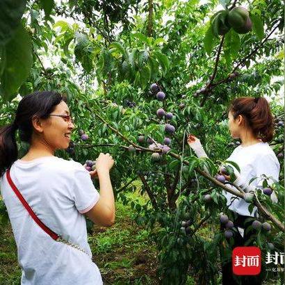 梓潼县规划最新概览