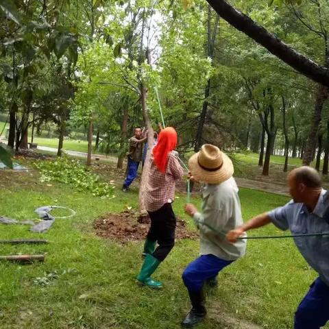 广饶铲车司机招聘，职业机遇及要求概览