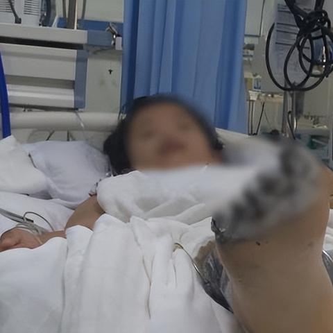 大海热线聚焦，海洋生态与环境保护的紧迫性探讨