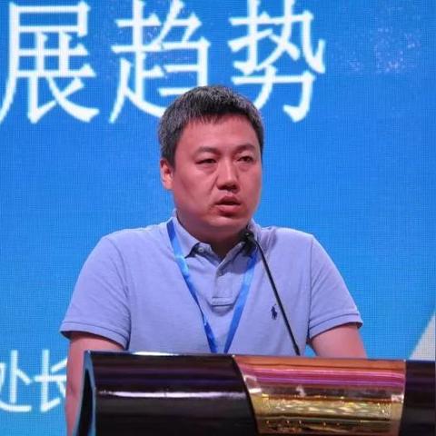 新乡化纤股票最新消息深度解读
