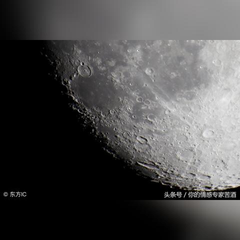 RM最新一期，嘉宾挑战极限，探索未知之旅
