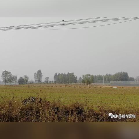 因陋就简 第2页