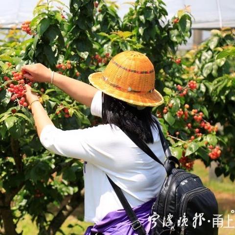 宁海东方日升招聘启事，职位更新，诚邀英才加入