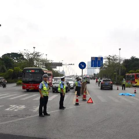 交通事故最新数据统计报告分析