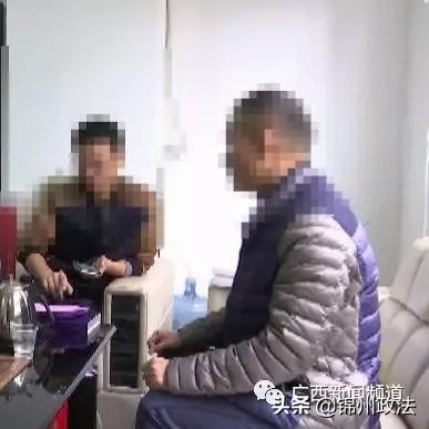 龙爱量子最新动态深度解析