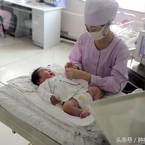 河北单独二胎政策最新动态