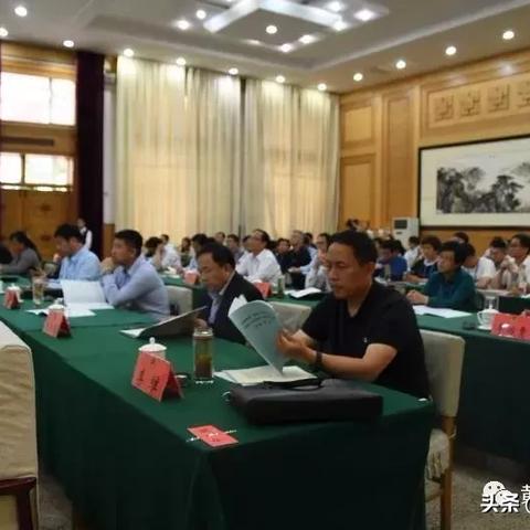 杨晓琼的莲花落艺术最新探析