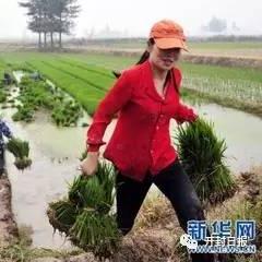 黄河滩区搬迁更新动态