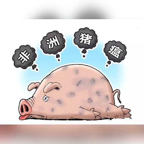 南方猪瘟疫情实时更新，最新消息汇总
