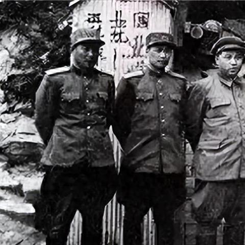 勇士荣耀最新一期第七篇章，数据解析与回顾概览