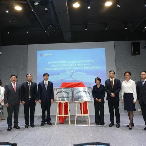 上海证券交易所最新公告全面解读