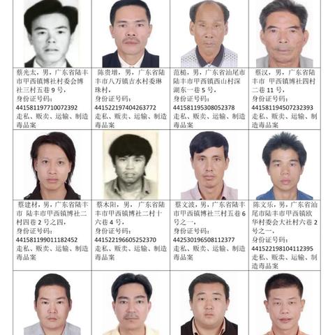 汕尾最新网上通缉犯信息报道