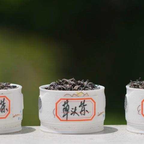 珠江纪事最新节目回顾，数字背后的故事揭秘