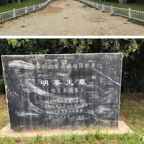 我家大明郡主，最新章节抢先看