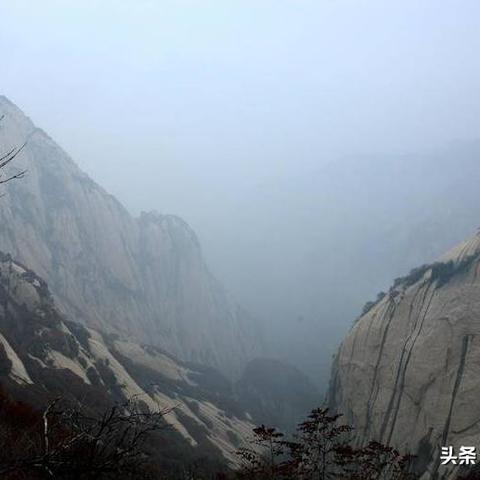 仙姿佚貌