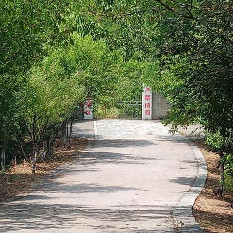 南京汤山最新建设进展新闻