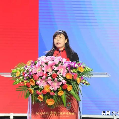 中国最新资源发现揭示巨大潜力与前景展望