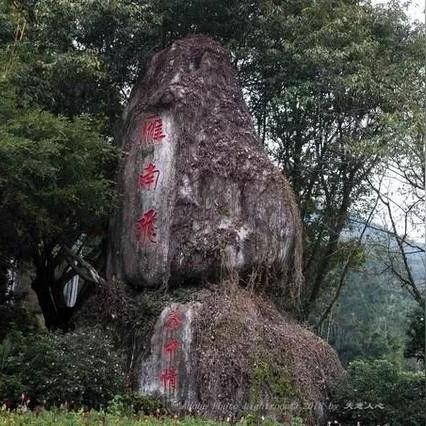 梅州宝丽华招聘启事，最新职位空缺