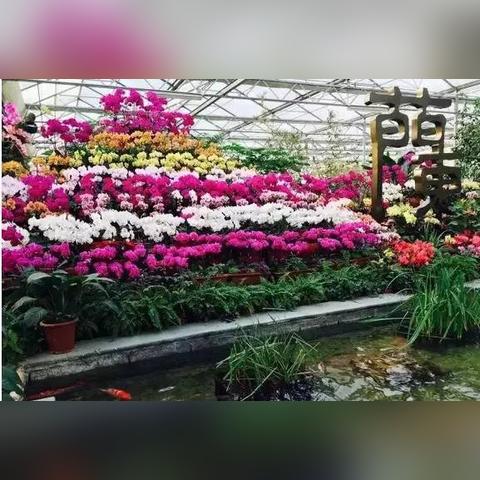 兰陵苍山招聘信息更新速递